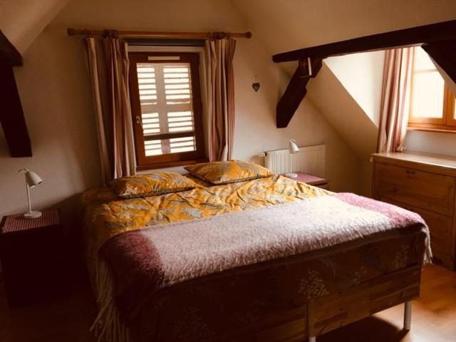 Appartement Au Charme Alsacien Kaysersberg-Vignoble Екстериор снимка