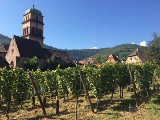 Appartement Au Charme Alsacien Kaysersberg-Vignoble Екстериор снимка
